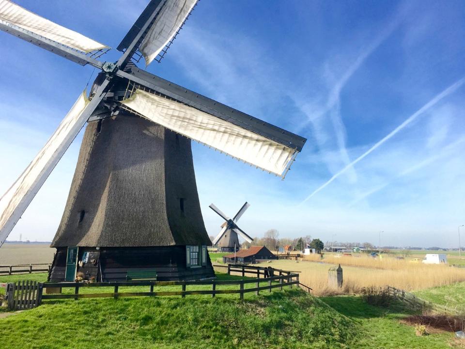 Molens in De Schermer